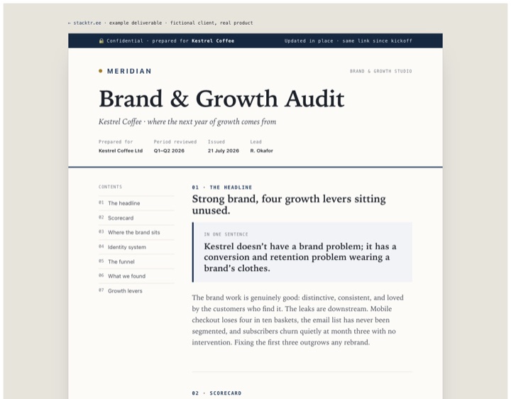 Brand and growth audit example: Meridian document with perception map and score dial